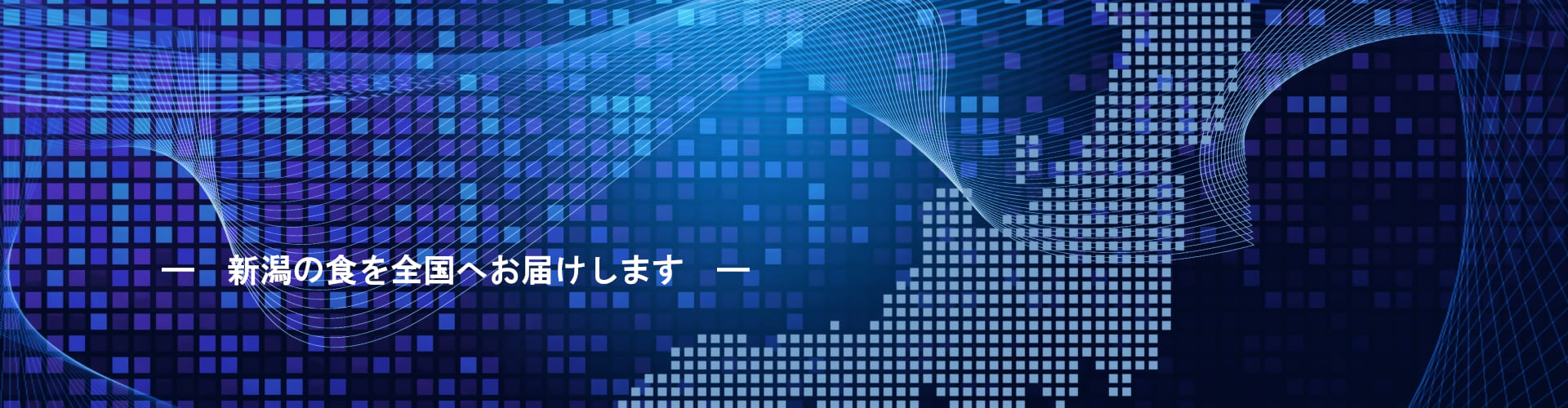 ニイガタキャリイ