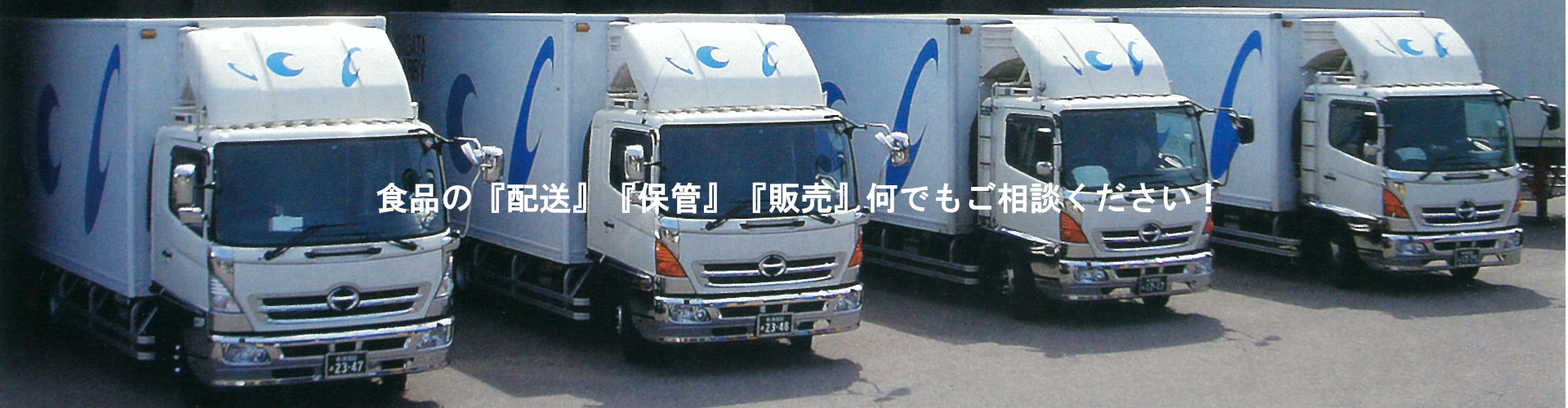 ニイガタキャリイ